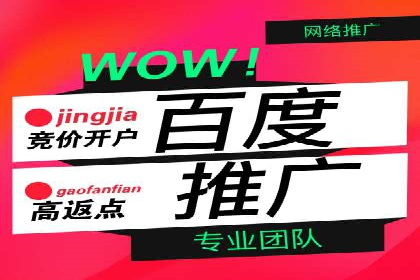 百度竞价托管：案例中的优化策略